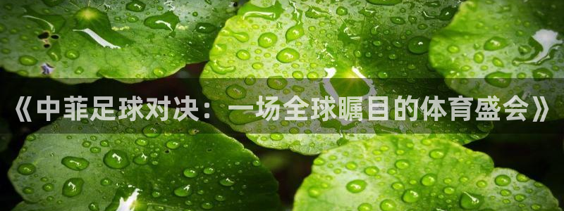  《中菲足球对决：一场全球瞩目的体育盛会》