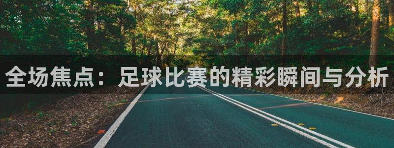 全场焦点：足球比赛的精彩瞬间与分析