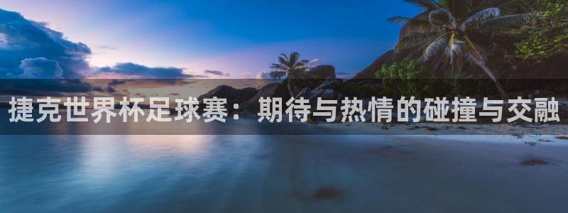 捷克世界杯足球赛：期待与热情的碰撞与交融