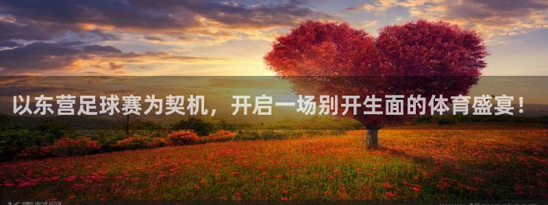 以东营足球赛为契机，开启一场别开生面的体育盛宴！