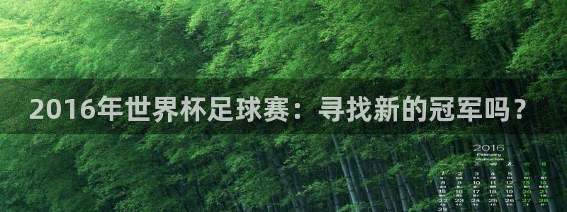 2016年世界杯足球赛：寻找新的冠军吗？