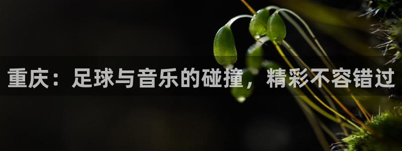  重庆：足球与音乐的碰撞，精彩不容错过