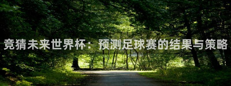  竞猜未来世界杯：预测足球赛的结果与策略