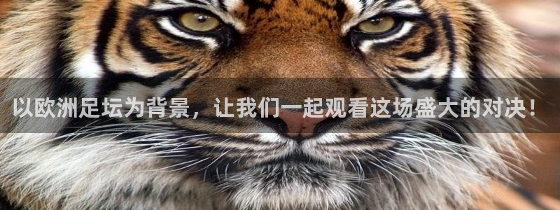 以欧洲足坛为背景，让我们一起观看这场盛大的对决！