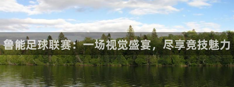 鲁能足球联赛：一场视觉盛宴，尽享竞技魅力