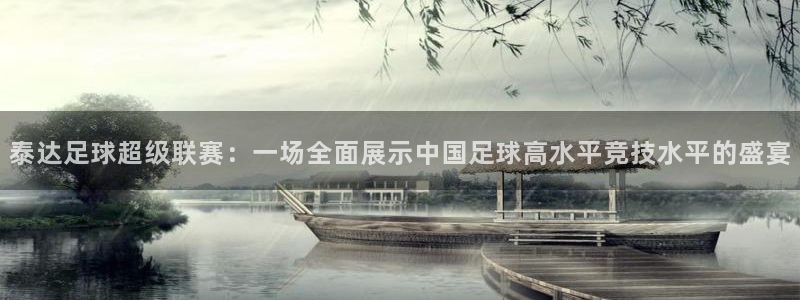  泰达足球超级联赛：一场全面展示中国足球高水平竞技水平的盛宴