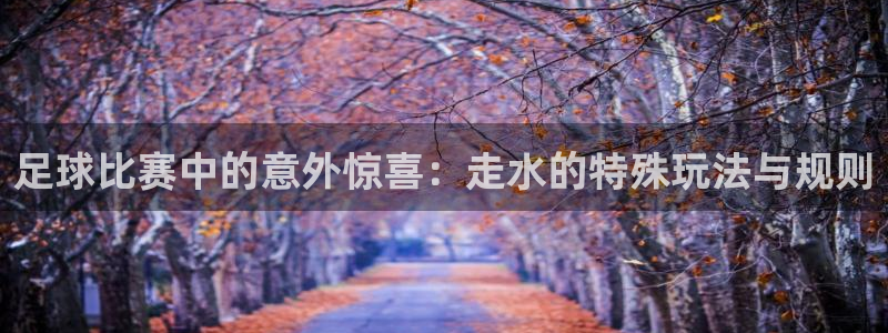 足球比赛中的意外惊喜：走水的特殊玩法