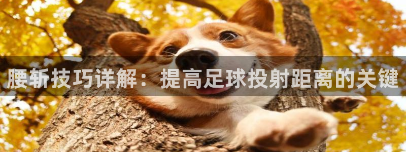 腰斩技巧详解：提高足球投射距离的关键