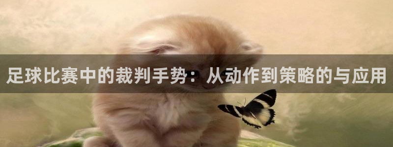 足球比赛中的裁判手势：从动作到策略的