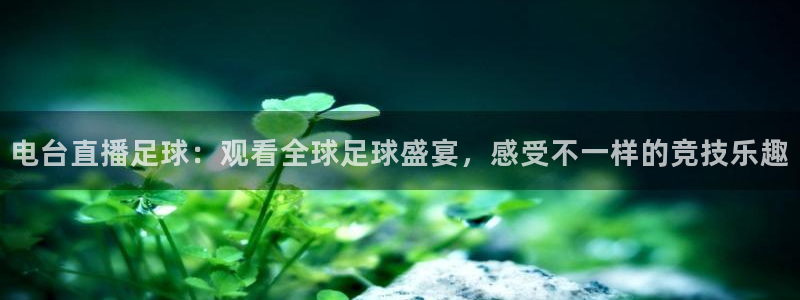 电台直播足球：观看全球足球盛宴，感受