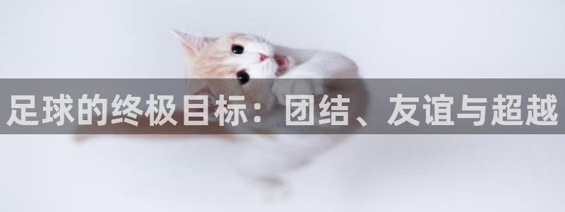 足球的终极目标：团结、友谊与超越