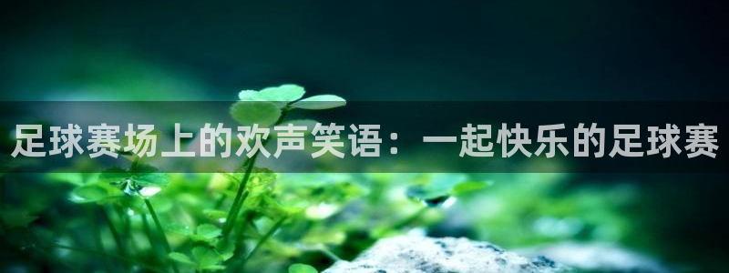 足球赛场上的欢声笑语：一起快乐的足球