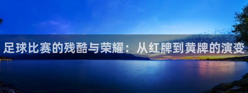 足球比赛的残酷与荣耀：从红牌到黄牌的