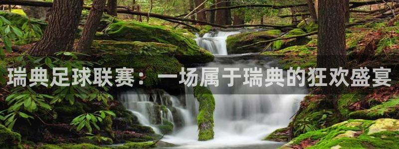 瑞典足球联赛：一场属于瑞典的狂欢盛宴