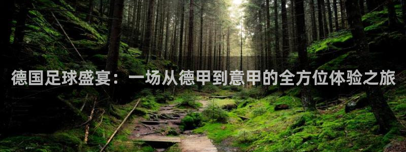 德国足球盛宴：一场从德甲到意甲的全方