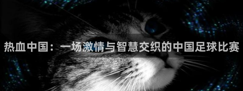 热血中国：一场激情与智慧交织的中国足