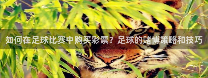 如何在足球比赛中购买彩票？足球的赌博