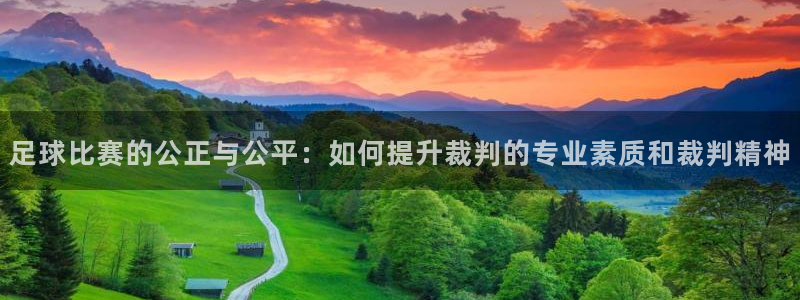 足球比赛的公正与公平：如何提升裁判的